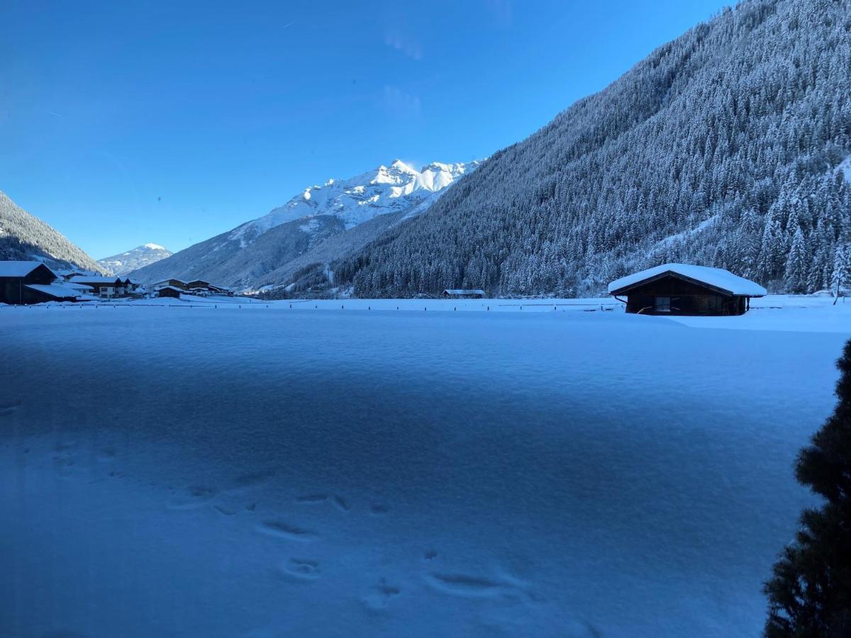 Apartment Mountainview Neustift im Stubaital Exterior photo